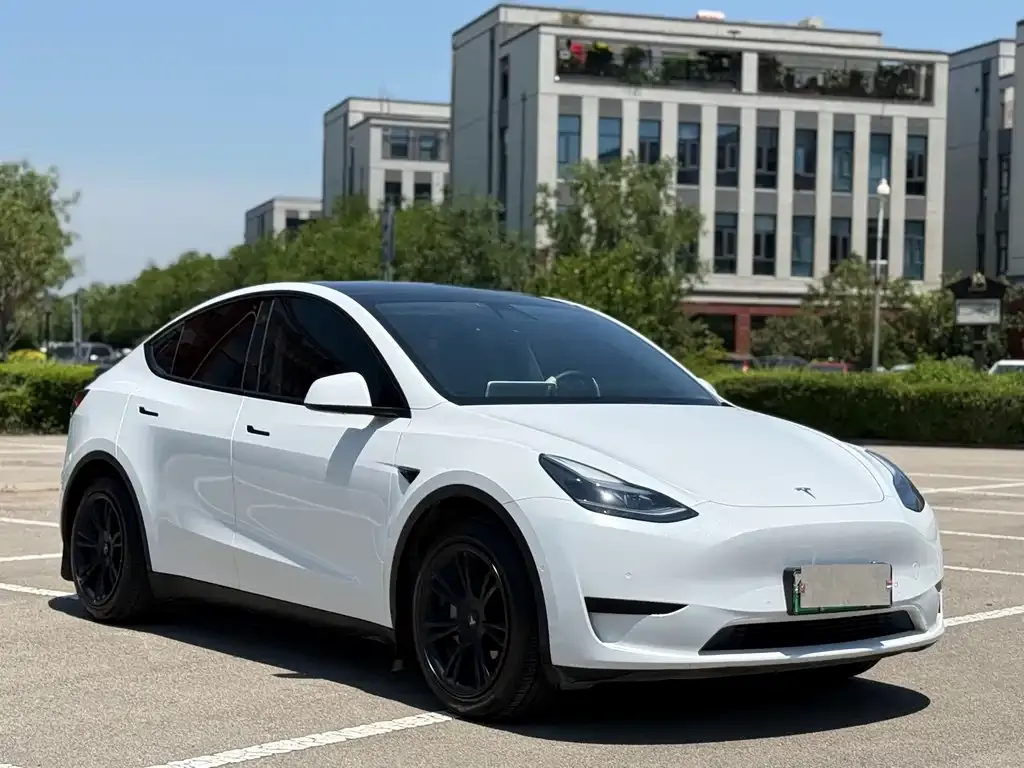 Tesla Model Y — фото 4