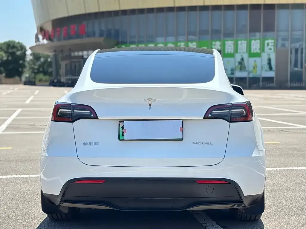 Tesla Model Y — фото 7