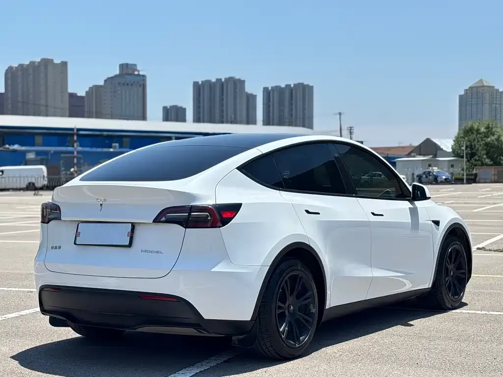 Tesla Model Y — фото 6