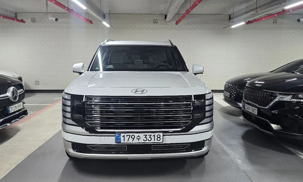 Hyundai Palisade — фото 6