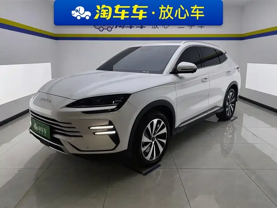 BYD PLUS New Energy — фото 1