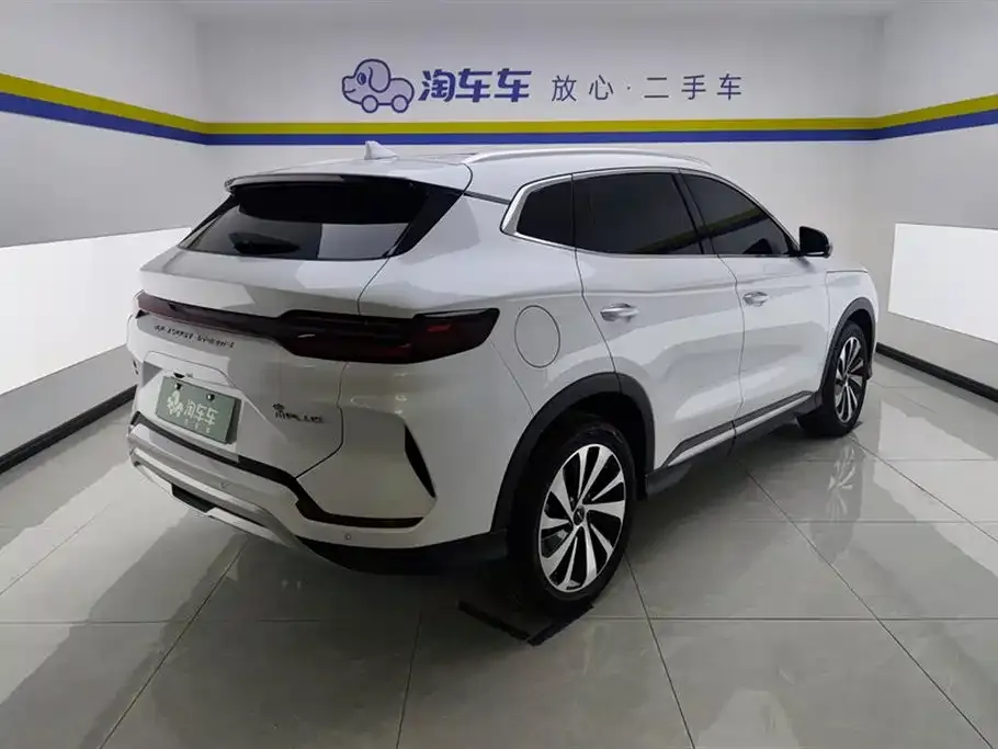 BYD PLUS New Energy — фото 2
