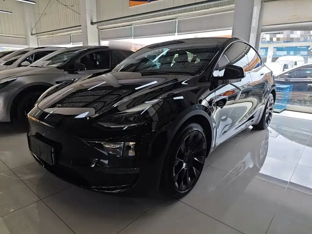 Tesla Model Y — фото 1