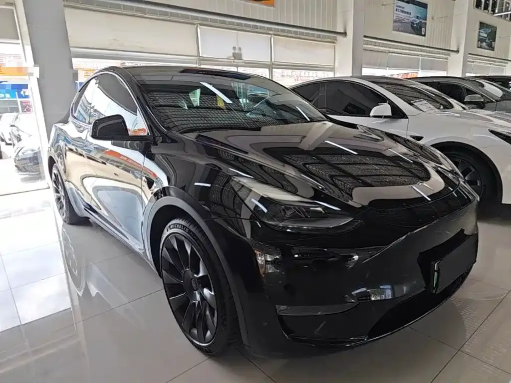 Tesla Model Y — фото 3