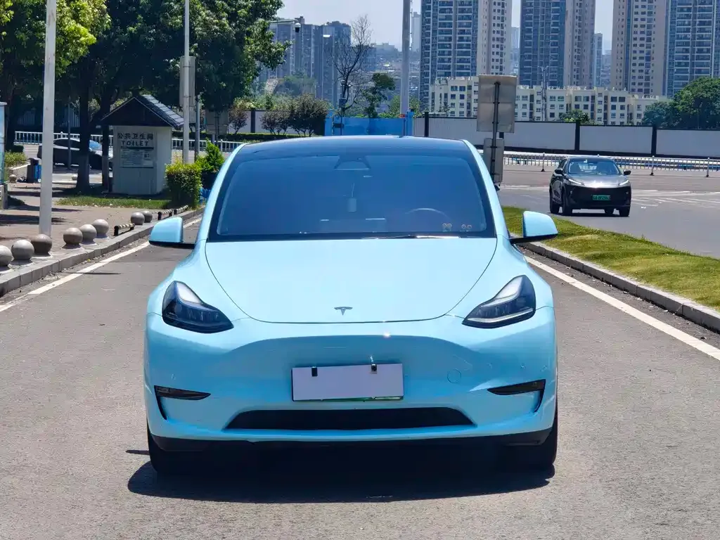 Tesla Model Y — фото 8