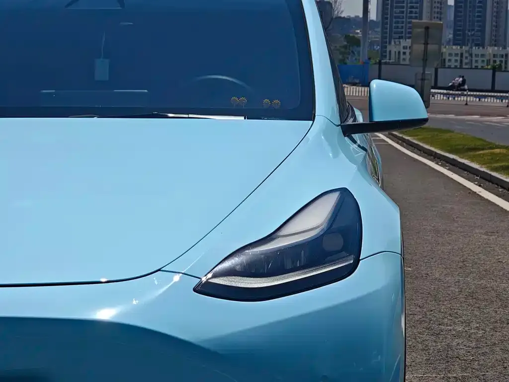 Tesla Model Y — фото 5