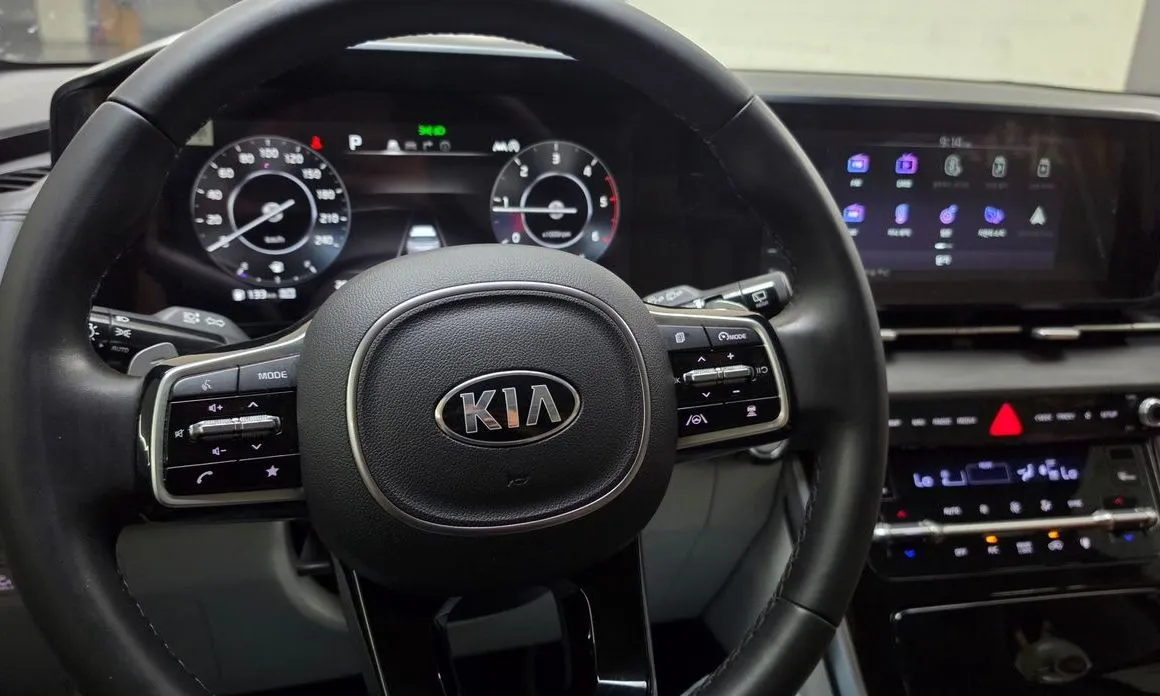Kia Carnival — фото 10