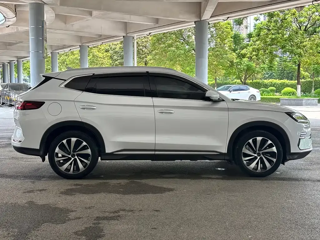 BYD PLUS New Energy — фото 8