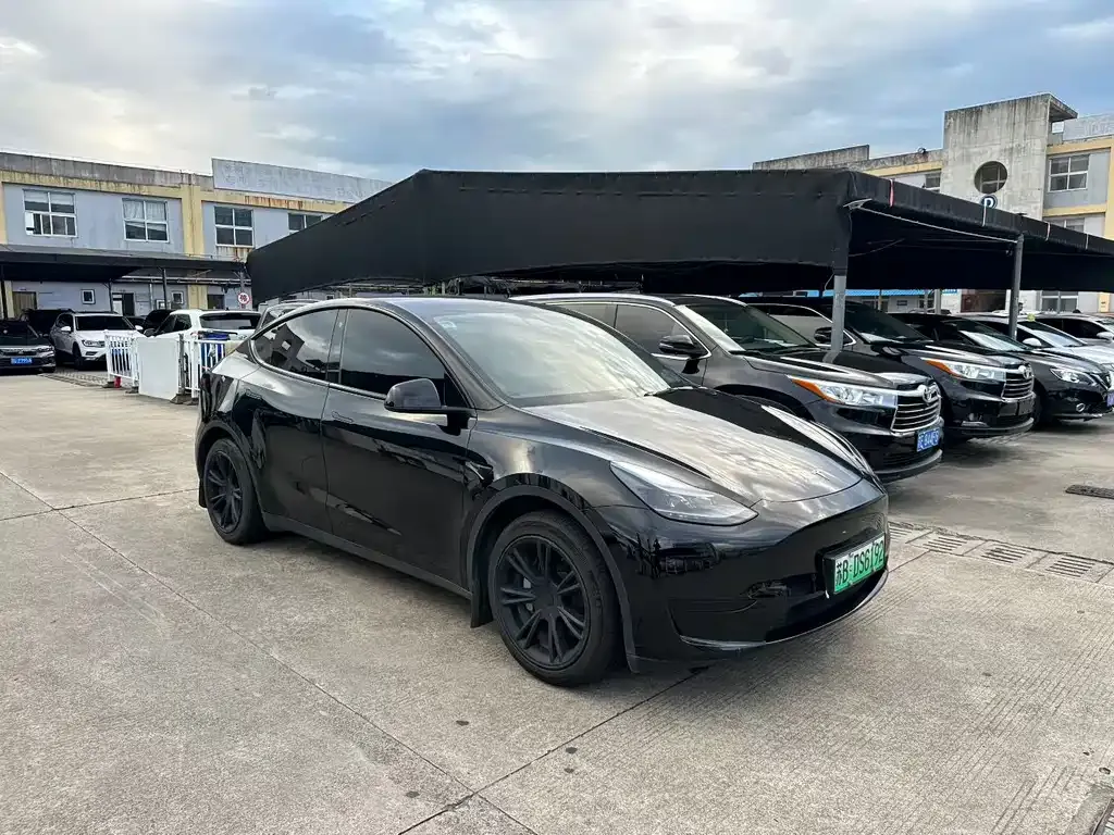 Tesla Model Y — фото 3