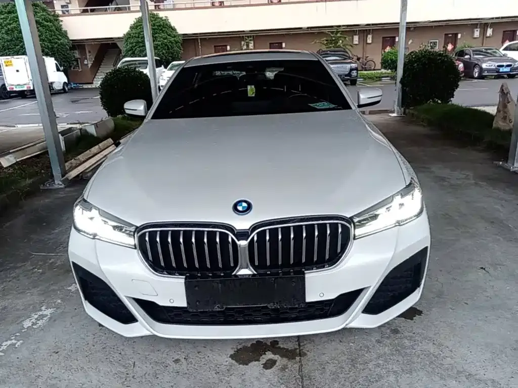 BMW 5 Series New Energy — фото 6