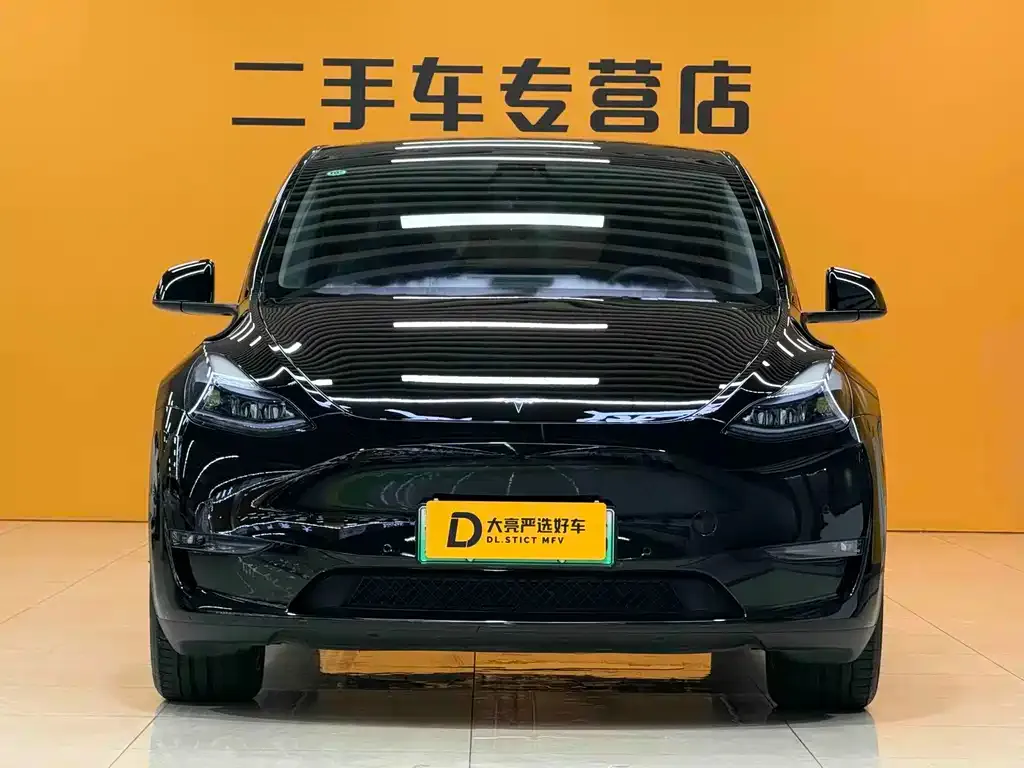 Tesla Model Y — фото 8