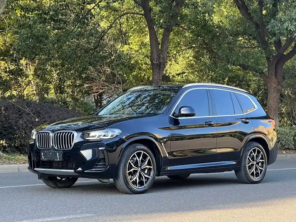 BMW X3 — фото 1
