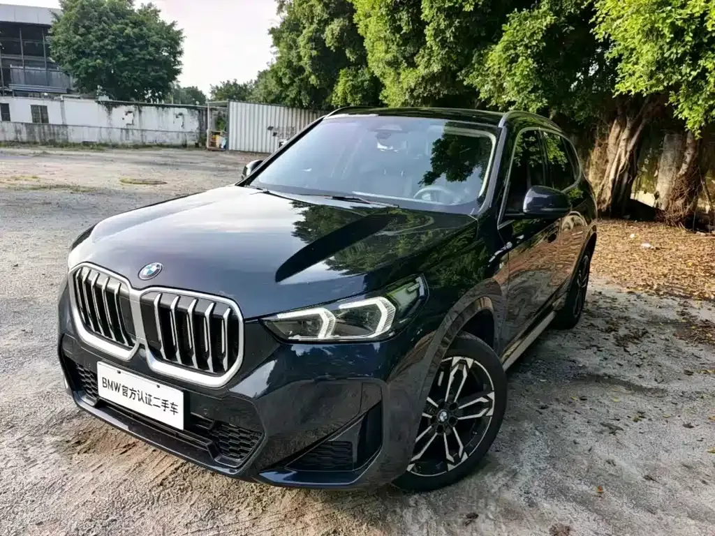BMW X1 — фото 1