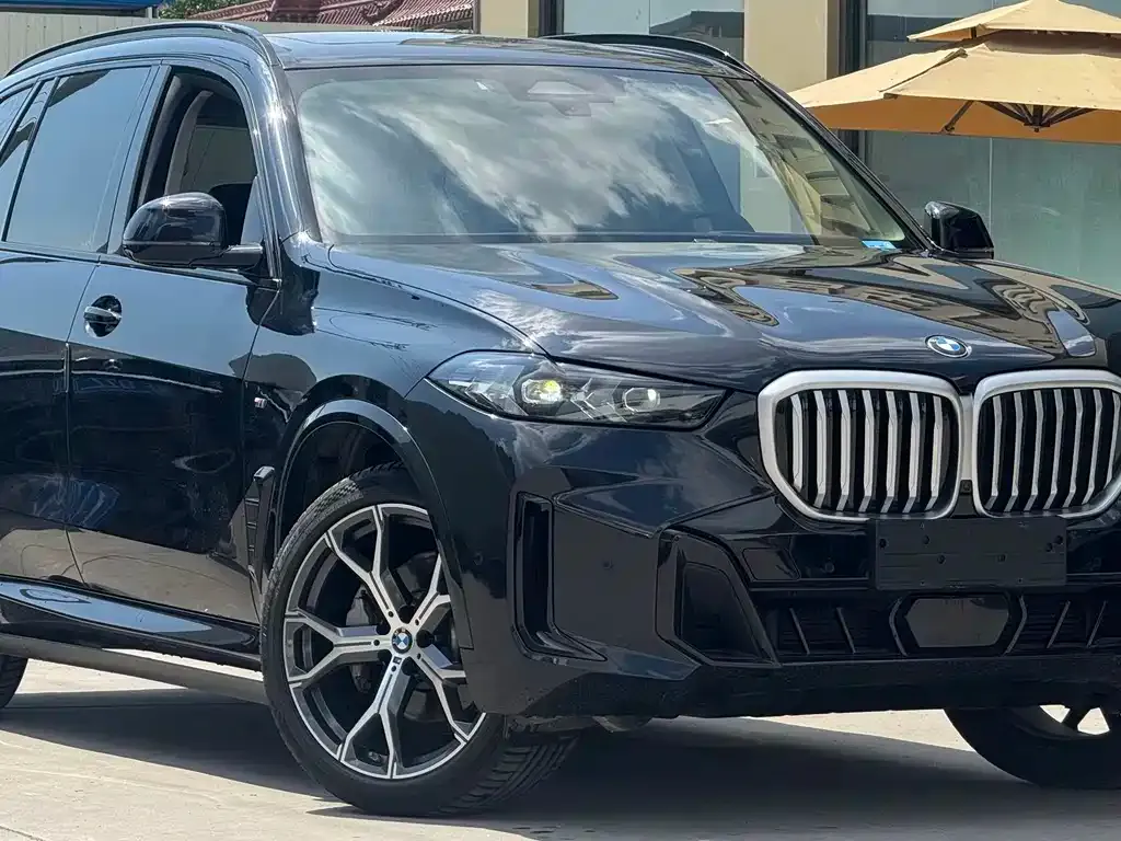 BMW X5 — фото 10