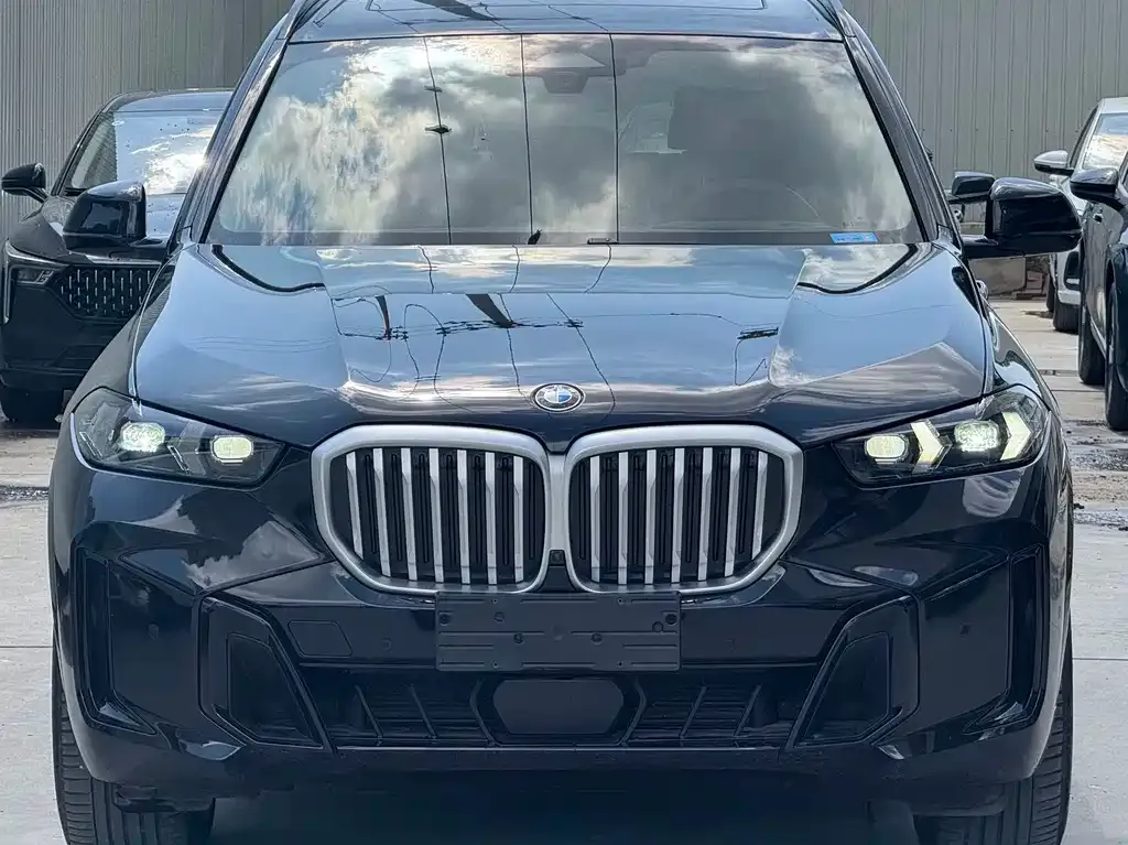 BMW X5 — фото 5