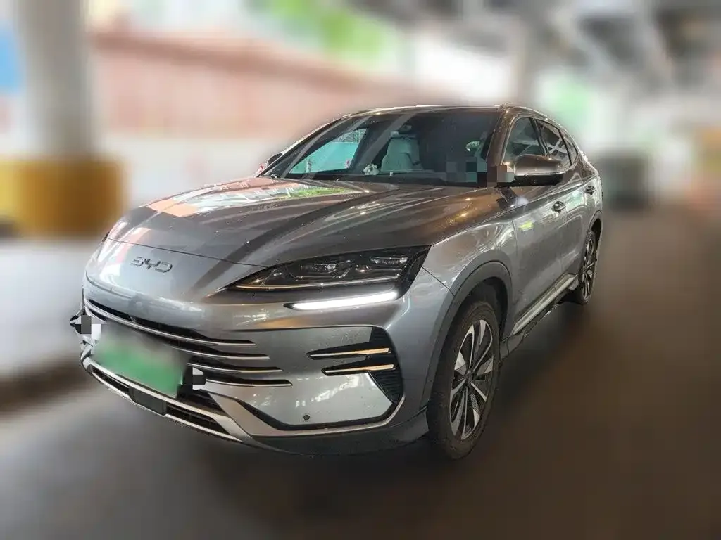 BYD PLUS New Energy — фото 9