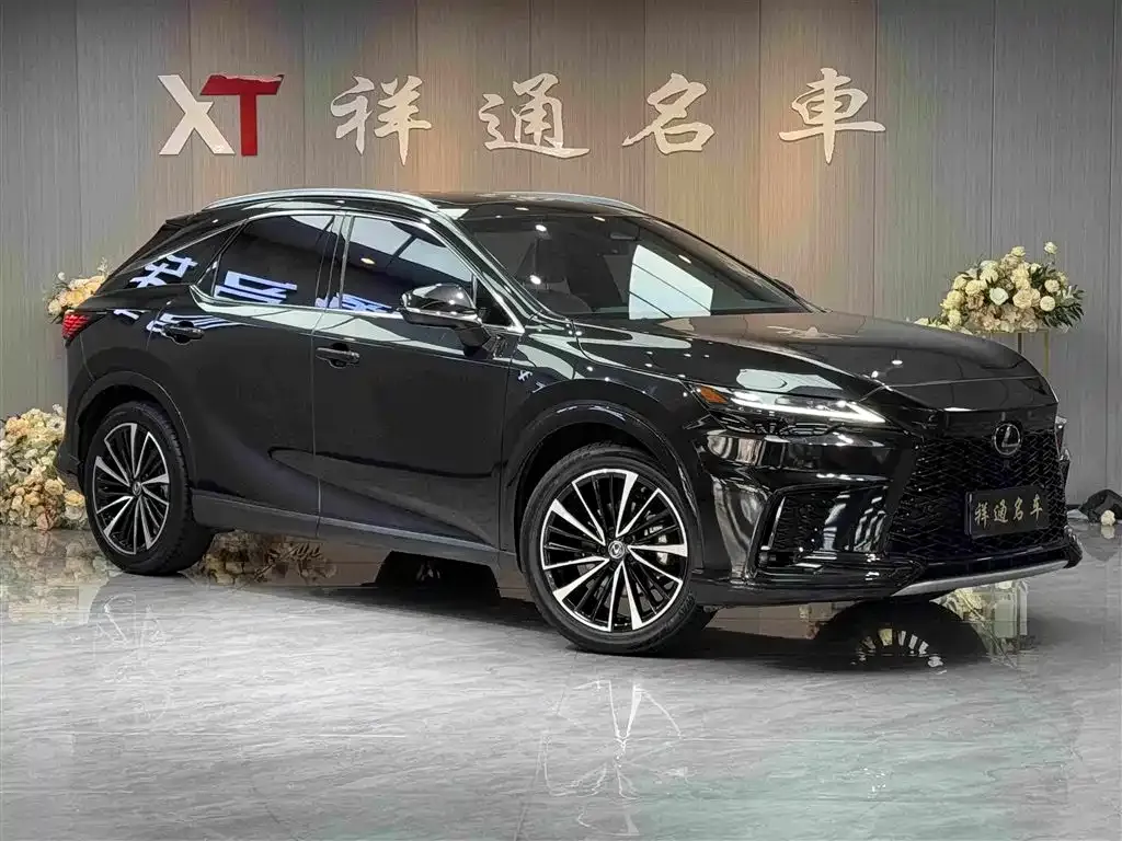 Lexus RX — фото 10