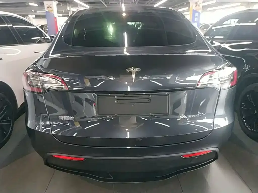 Tesla Model Y — фото 8