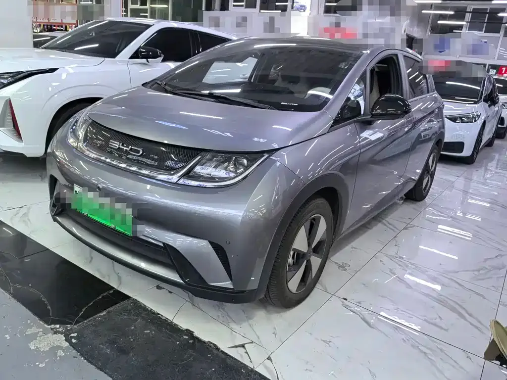 BYD Dolphin