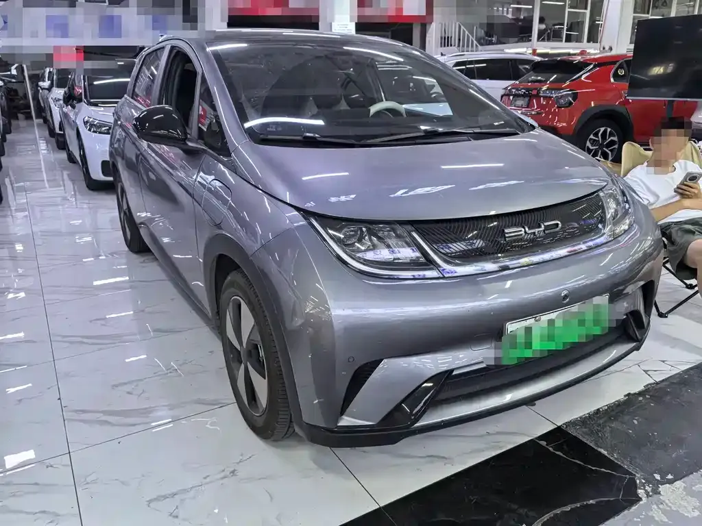 BYD Dolphin 2023 из CN, фото 5