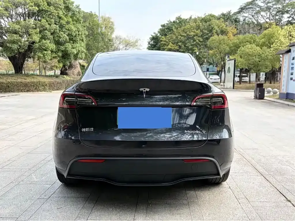 Tesla Model Y — фото 3