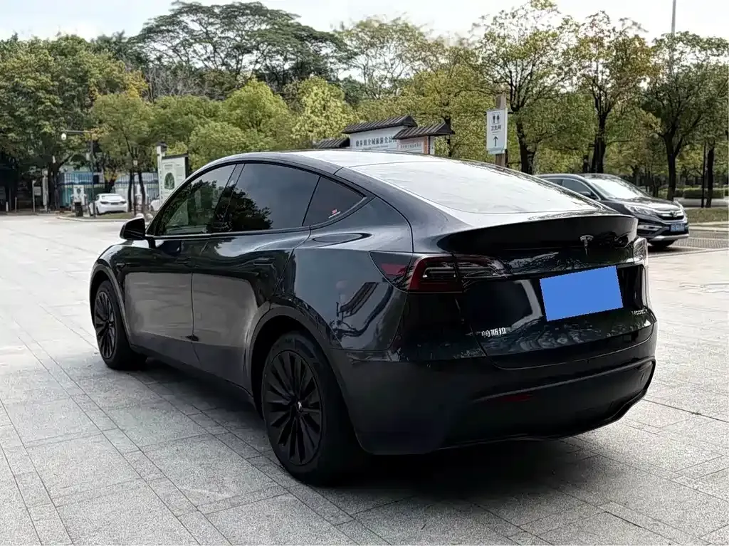 Tesla Model Y — фото 6