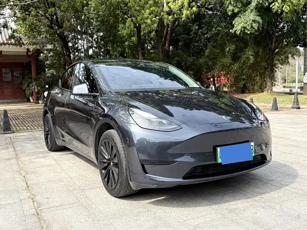 Tesla Model Y — фото 9