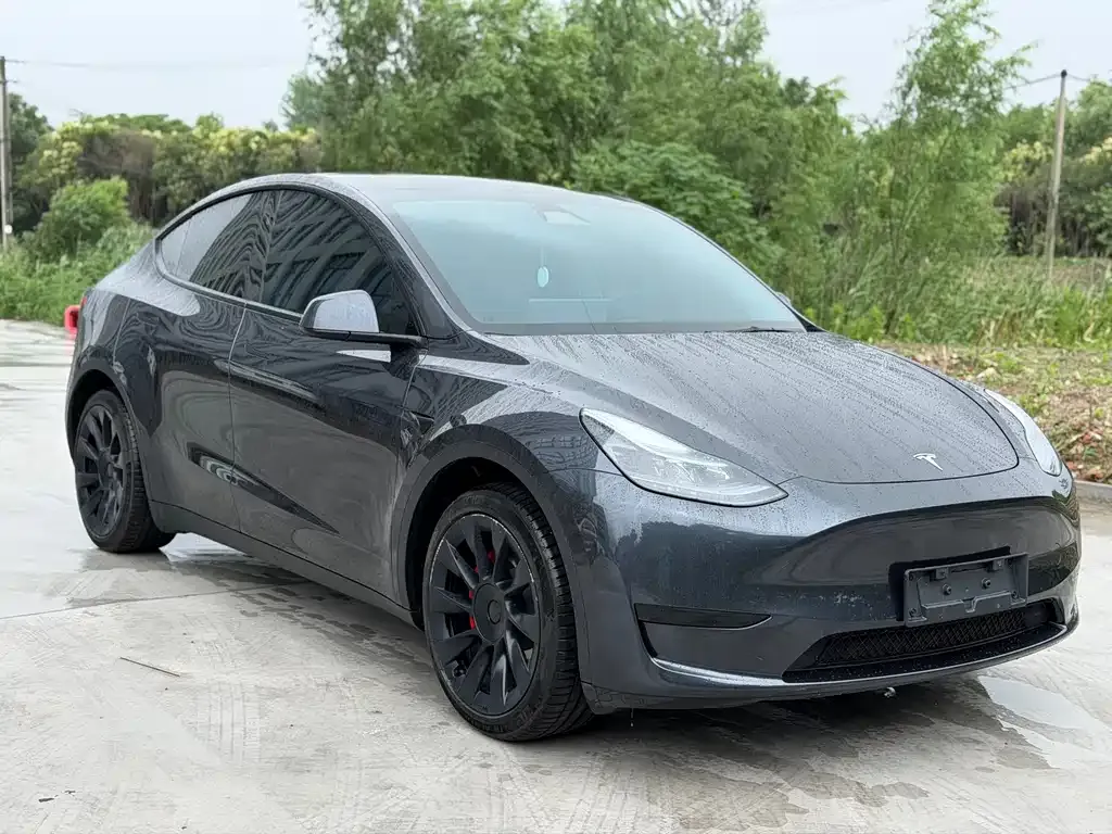 Tesla Model Y — фото 1