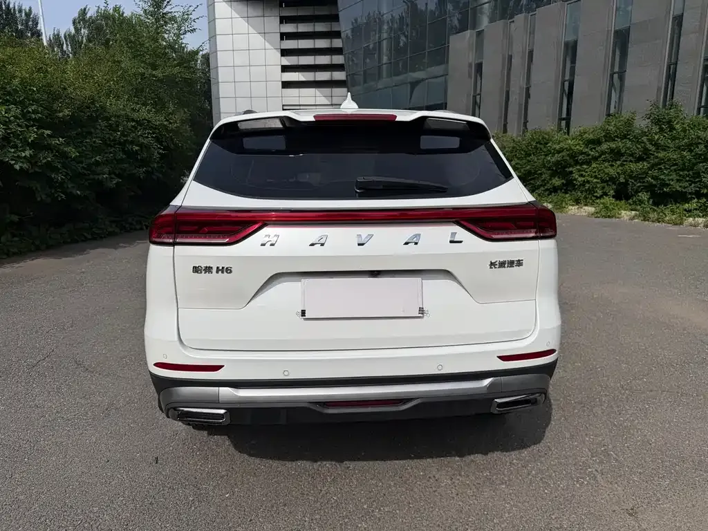 Haval H6 2022 из CN, фото 3