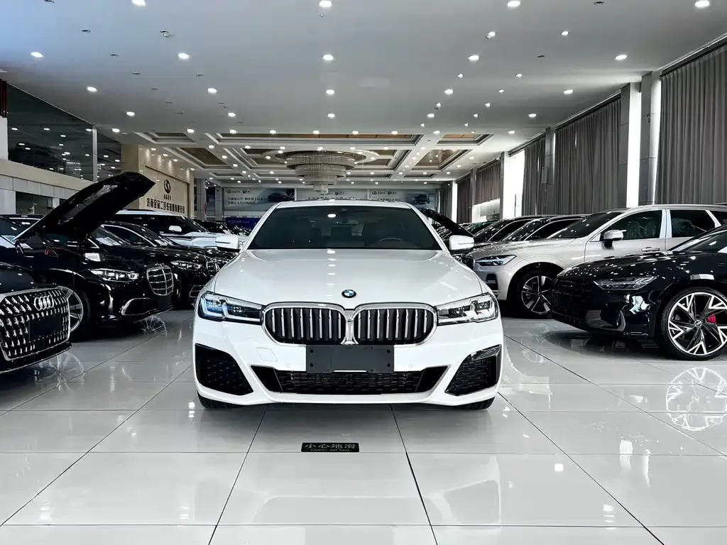 BMW 5 Series — фото 5