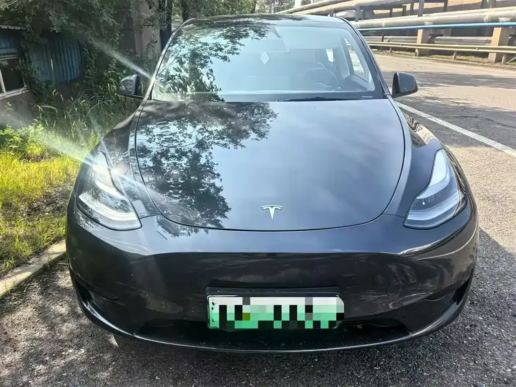 Tesla Model Y — фото 1