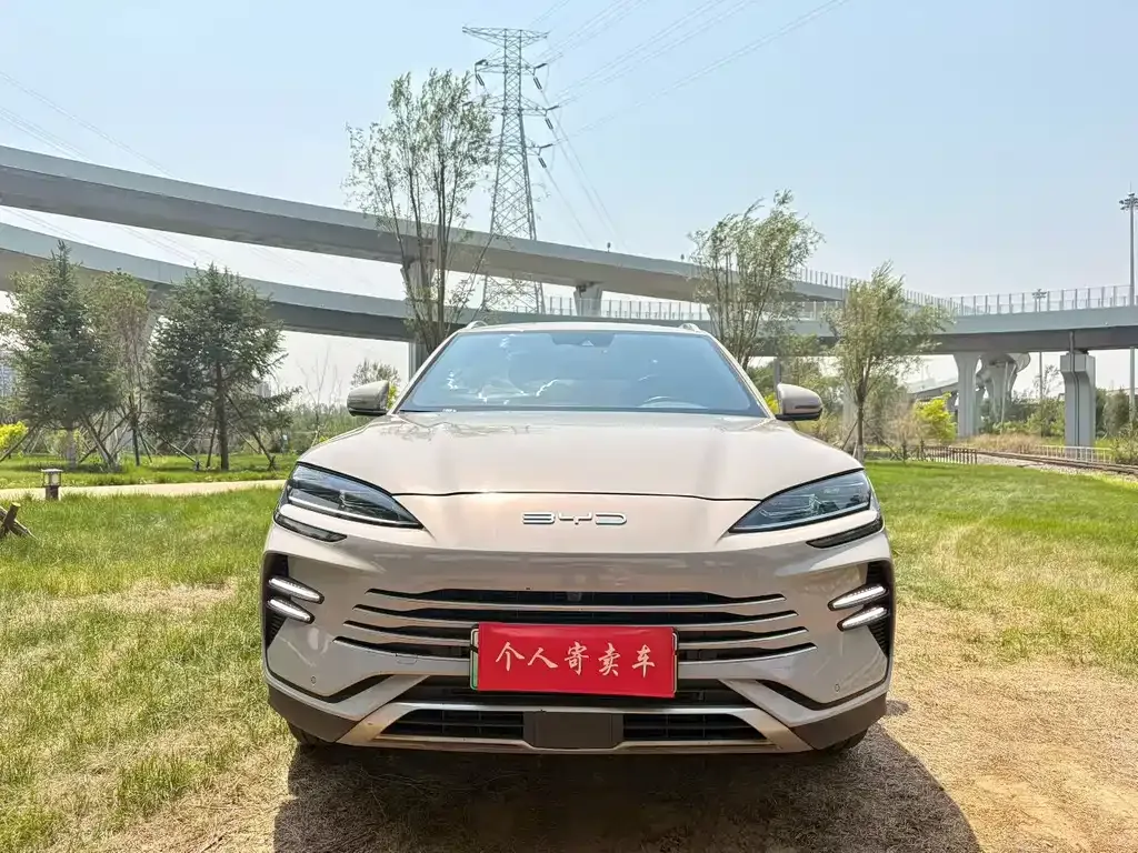 BYD PLUS New Energy 2023 из CN, фото 4