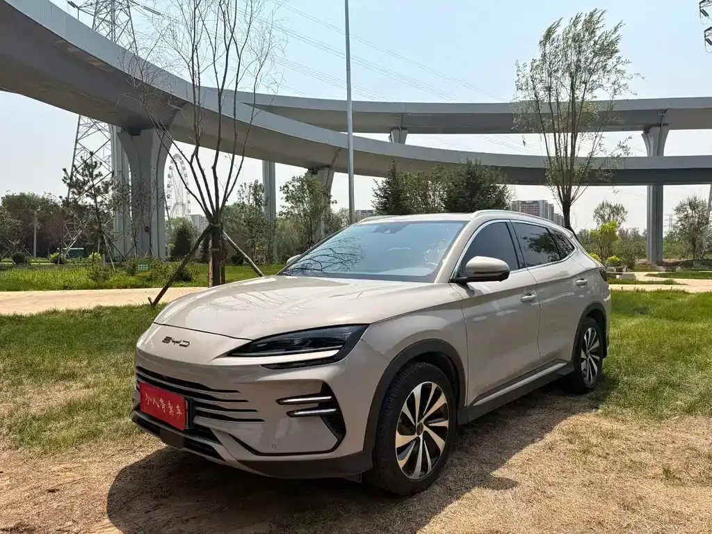 BYD PLUS New Energy 2023 из CN, фото 7