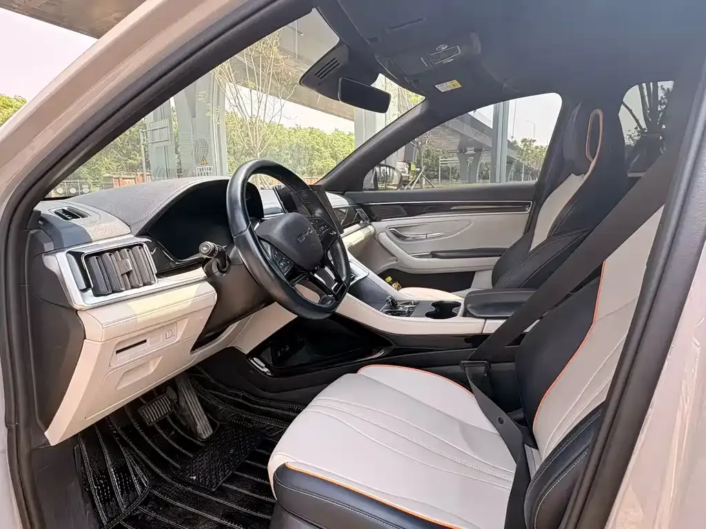 BYD PLUS New Energy 2023 из CN, фото 6