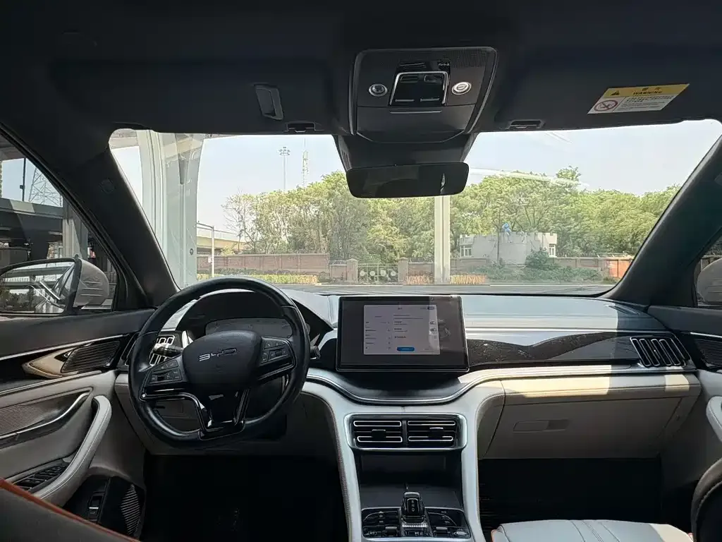 BYD PLUS New Energy 2023 из CN, фото 3