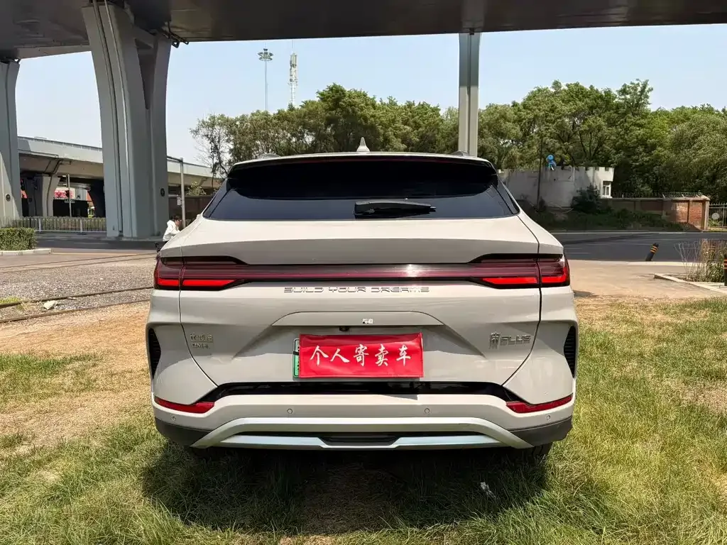 BYD PLUS New Energy 2023 из CN, фото 5