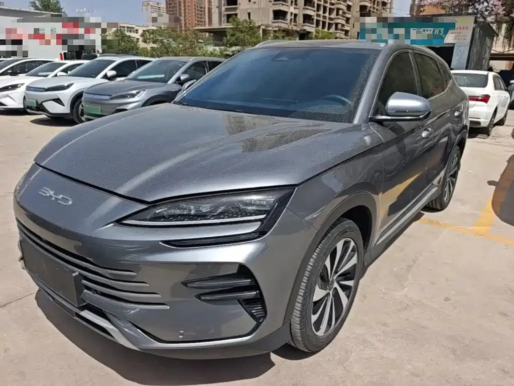 BYD PLUS New Energy — фото 1