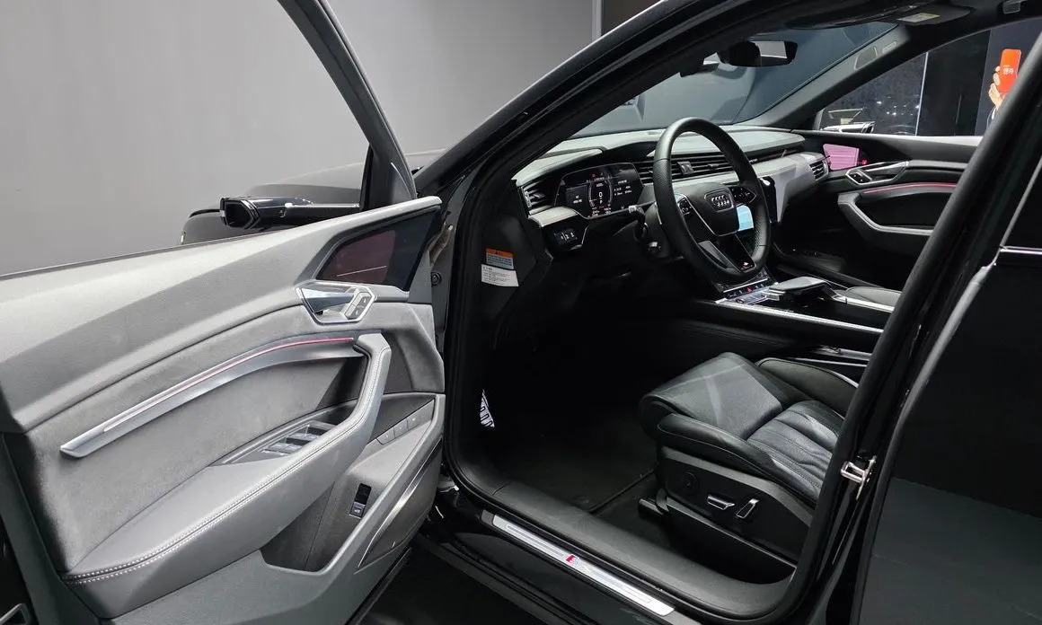 Audi e-tron 2022 из KR, фото 4
