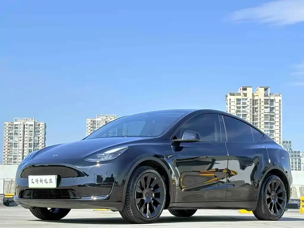 Tesla Model Y — фото 1