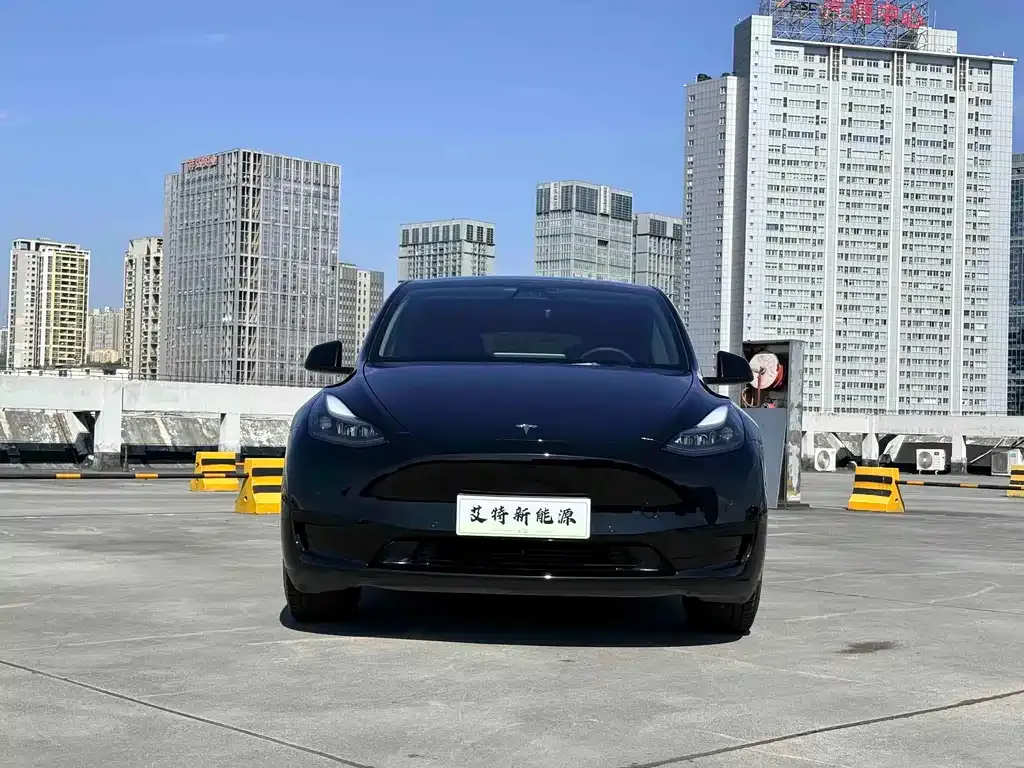 Tesla Model Y — фото 10