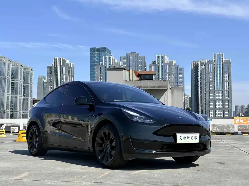Tesla Model Y — фото 5