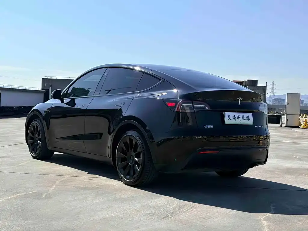 Tesla Model Y — фото 9