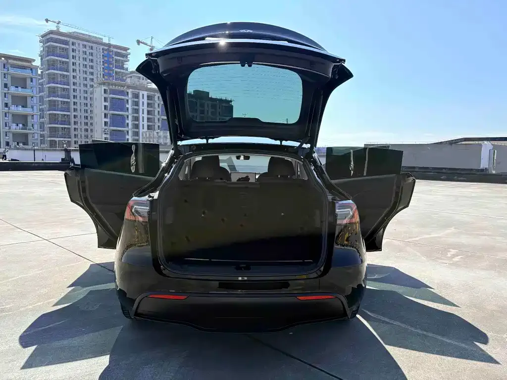 Tesla Model Y — фото 3
