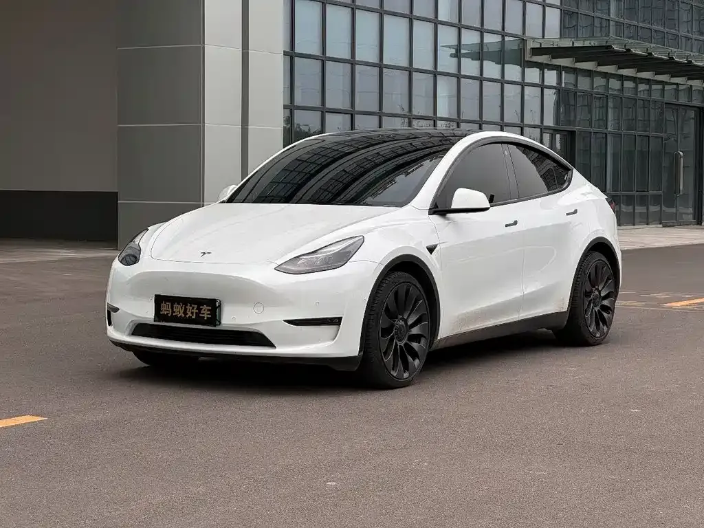 Tesla Model Y — фото 1