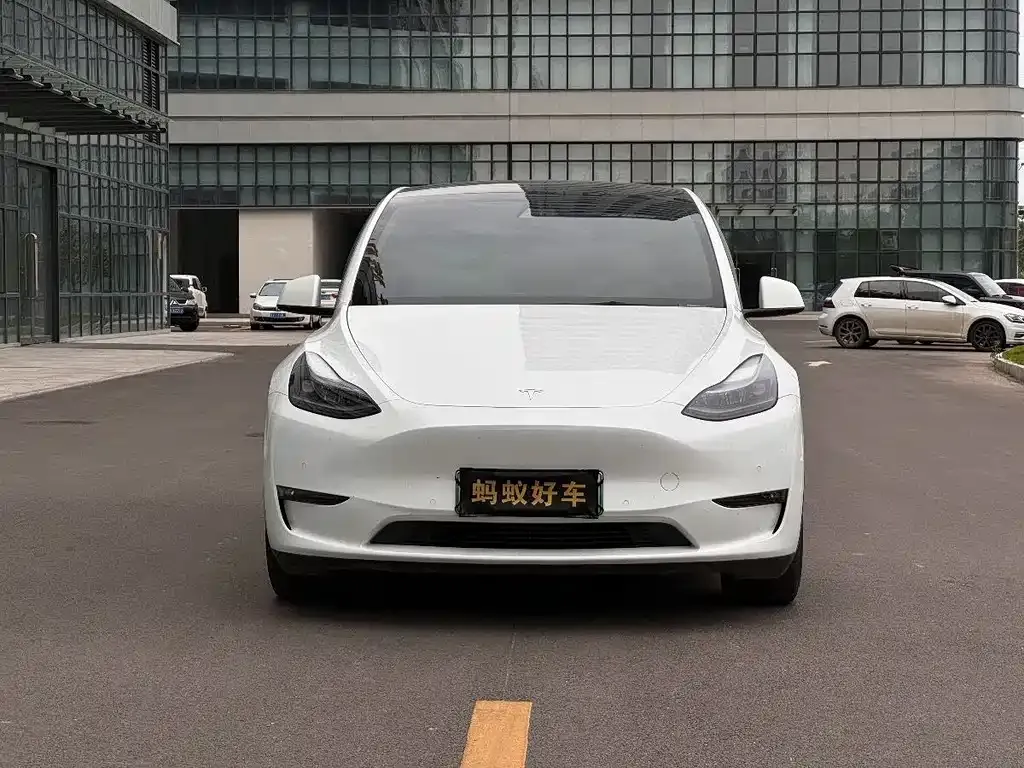 Tesla Model Y — фото 2