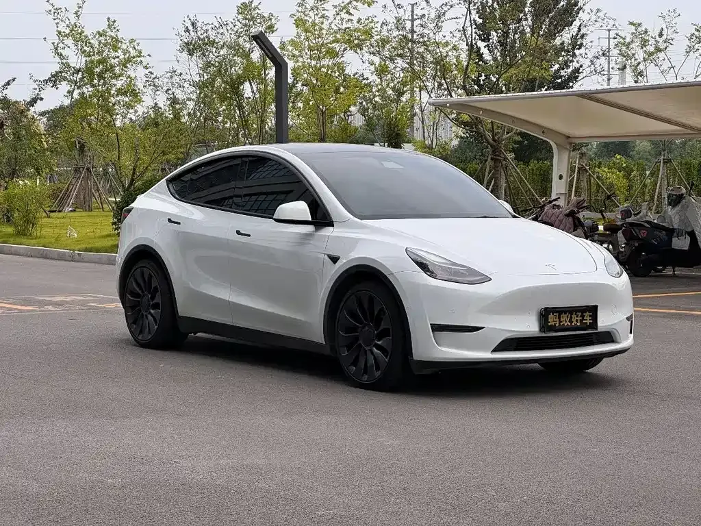 Tesla Model Y — фото 8