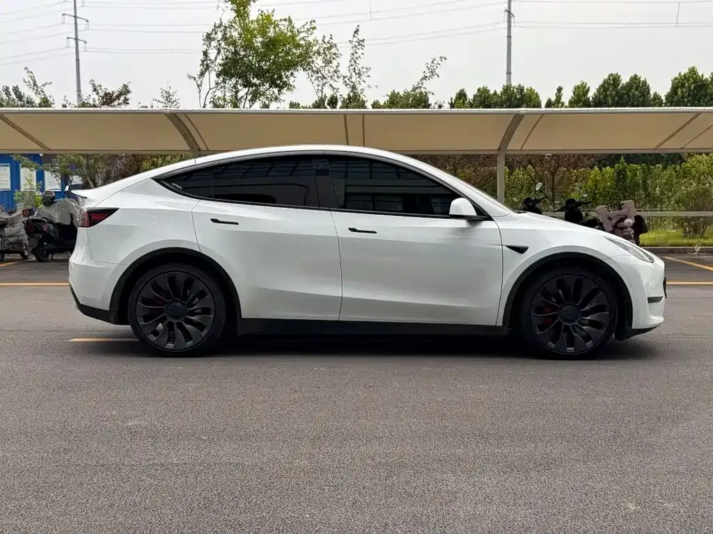 Tesla Model Y — фото 3