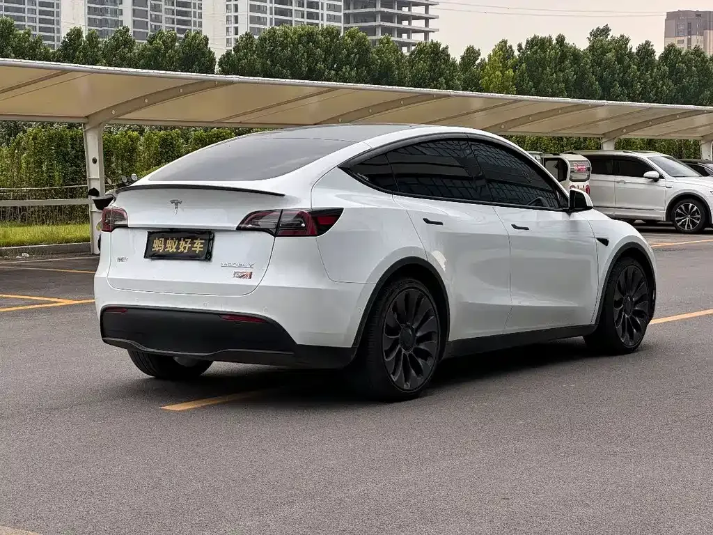 Tesla Model Y — фото 10