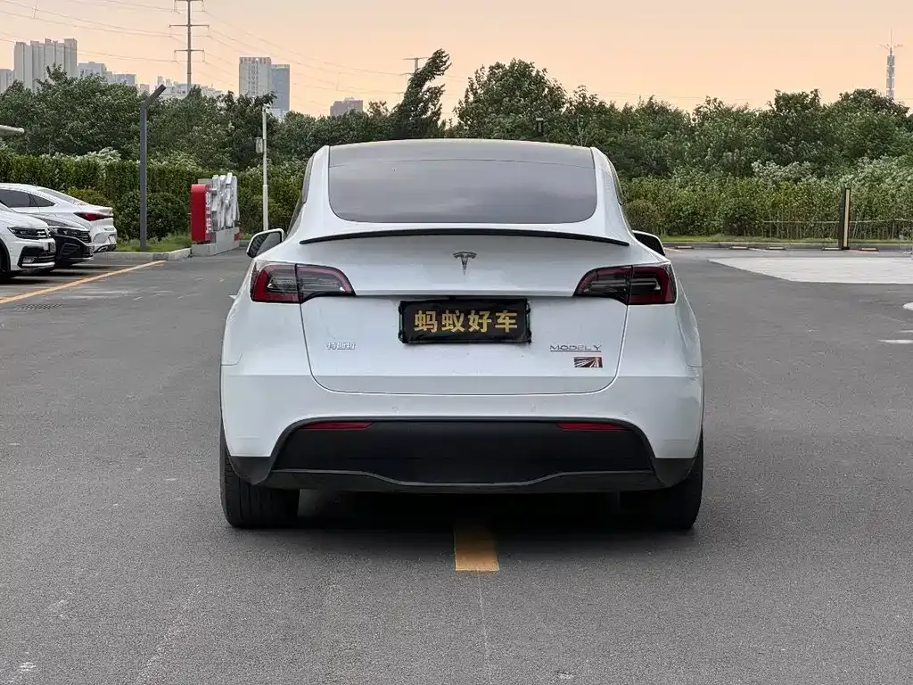Tesla Model Y — фото 7