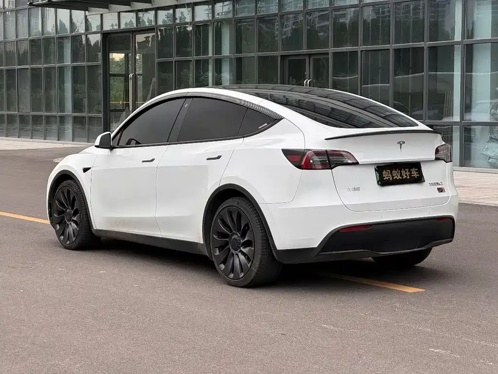 Tesla Model Y — фото 5